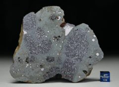 TASSÉDET 004 (167.1 gram) endpiece