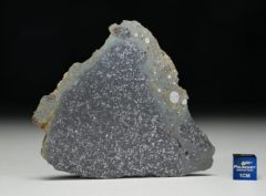 TASSÉDET 004 (56.9 gram) endpiece