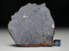 TASSÉDET 004 (46.3 gram)
