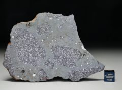 TASSÉDET 004 (43.7 gram)