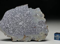 TASSÉDET 004 (23.4 gram)