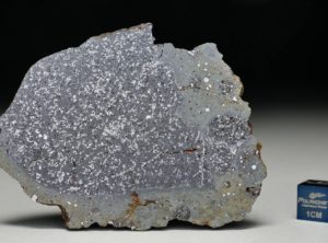 TASSÉDET 004 (23.4 gram)