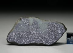 TASSÉDET 004 (11.8 gram)