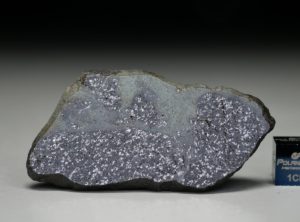 TASSÉDET 004 (11.8 gram)