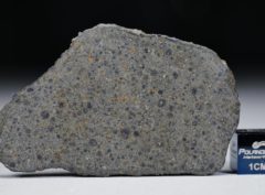 NWA 10671 (15.63 gram)