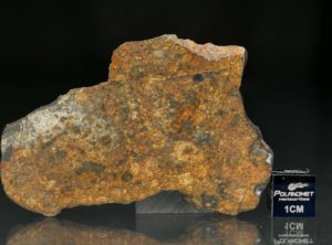 NWA 11388 (19.26 gram)