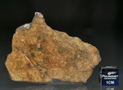 NWA 11388 (12.15 gram)