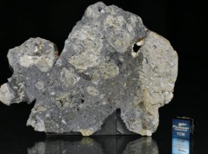 NWA 13235 (35.00 gram)