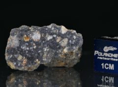 NWA 11421 (3.720gram)