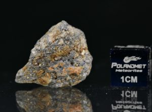 NWA 11421 (5.730 gram)