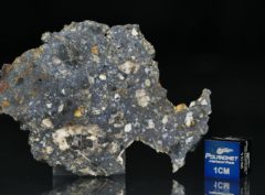 NWA 13278 (9.10 gram)