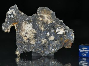 NWA 13278 (8.73 gram)