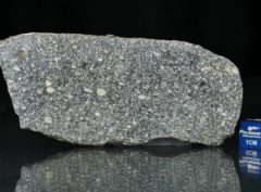 ABA PANU (23.73 gram)
