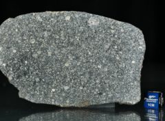 ABA PANU (36.58 gram)