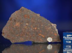 AL HAGGOUNIA 004 (9.84 gram)