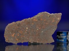 AL HAGGOUNIA 004 (10.16 gram)