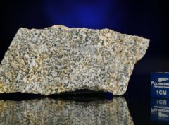 NWA 6309 (11.20 gram)