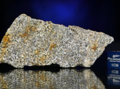 NWA 6309 (12.04 gram)