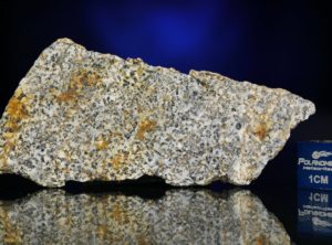 NWA 6309 (12.04 gram)
