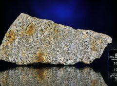 NWA 6309 (11.65 gram)