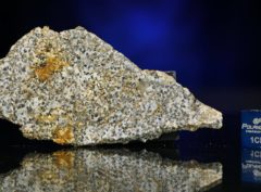 NWA 6309 (12.14 gram)