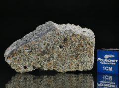 BASZKÓWKA (8.73 gram)