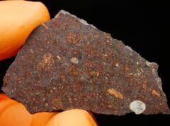 AL HAGGOUNIA 004 (8.70 gram)