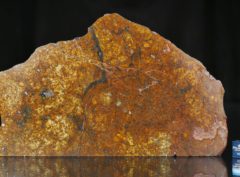 SAHARA 99477 (189.90 gram)