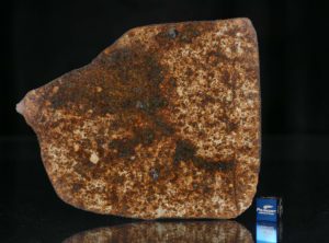 NWA 13165 (74.62 gram)