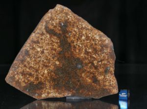 NWA 13165 (102.43 gram)