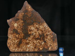 NWA 13165 (133.49 gram)