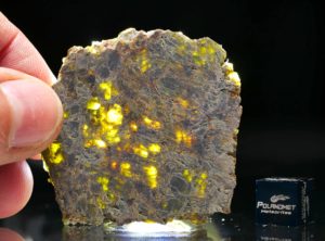 NWA 8107 (15.87 gram)