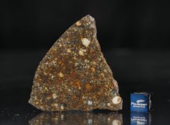 NWA 11574 (13.30 gram)