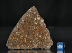 NWA 11574 (24.30 gram)