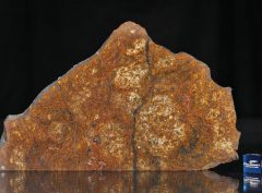 SAHARA 99477 (105 gram)