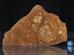 SAHARA 99477 (85 gram)