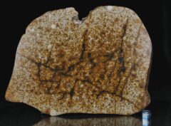NWA 13648 (458 gram)