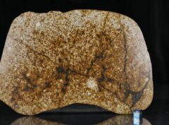 NWA 13648 (505 gram)