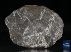 NWA 6258 (24.94 gram)