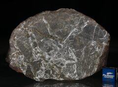 NWA 6258 (456.13 gram)