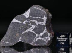 NWA 13679 (27.80 gram)