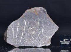 NWA 13679 (20.00 gram)