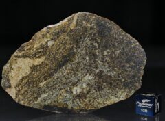 NWA 6232 (23.90 gram)