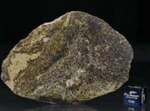 NWA 6232 (23.90 gram)