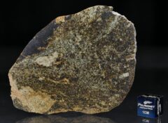 NWA 6232 (22.50 gram)