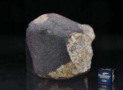 NWA 6255 (143.40 gram)