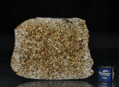 NWA 6255 (28.20 gram)