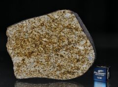 NWA 6255 (33.10 gram)