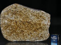 NWA 6255 (38.96 gram)