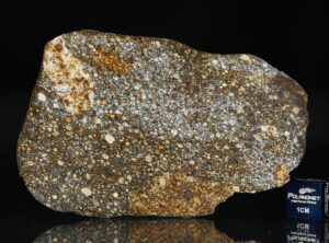 NWA 8305 (29.97 gram)